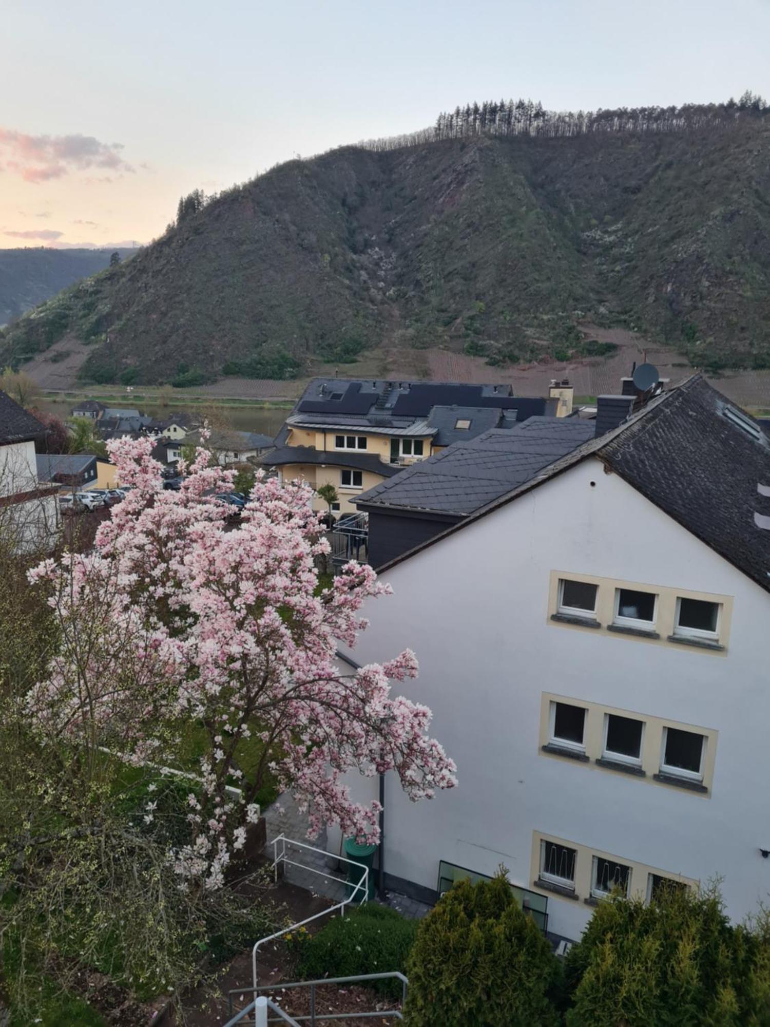 Apartamento Ferienhaus Am Reilsbach Cochem Exterior foto