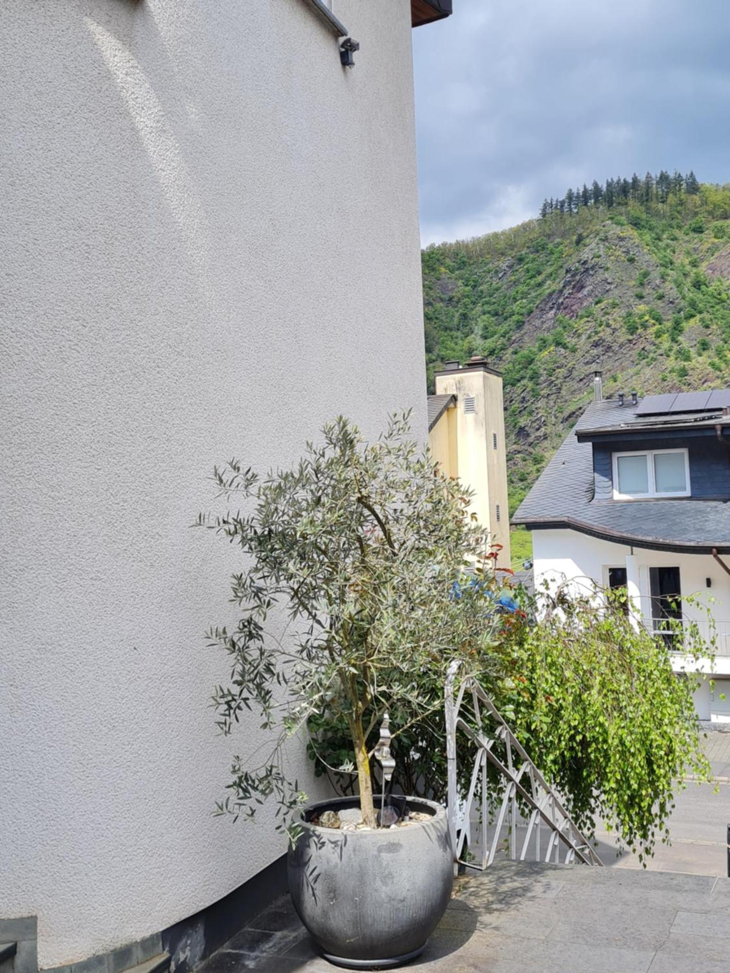 Apartamento Ferienhaus Am Reilsbach Cochem Exterior foto