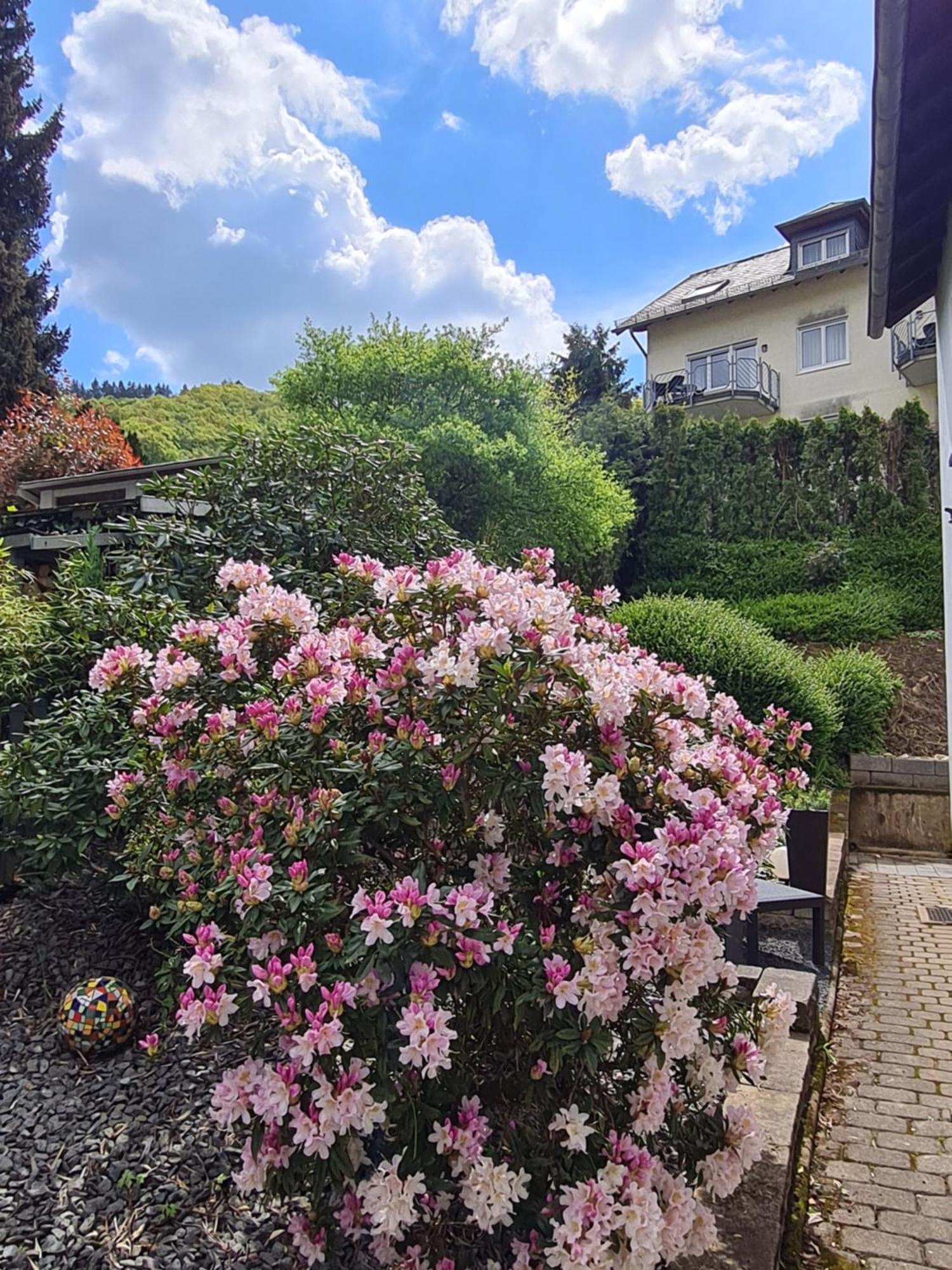 Apartamento Ferienhaus Am Reilsbach Cochem Exterior foto